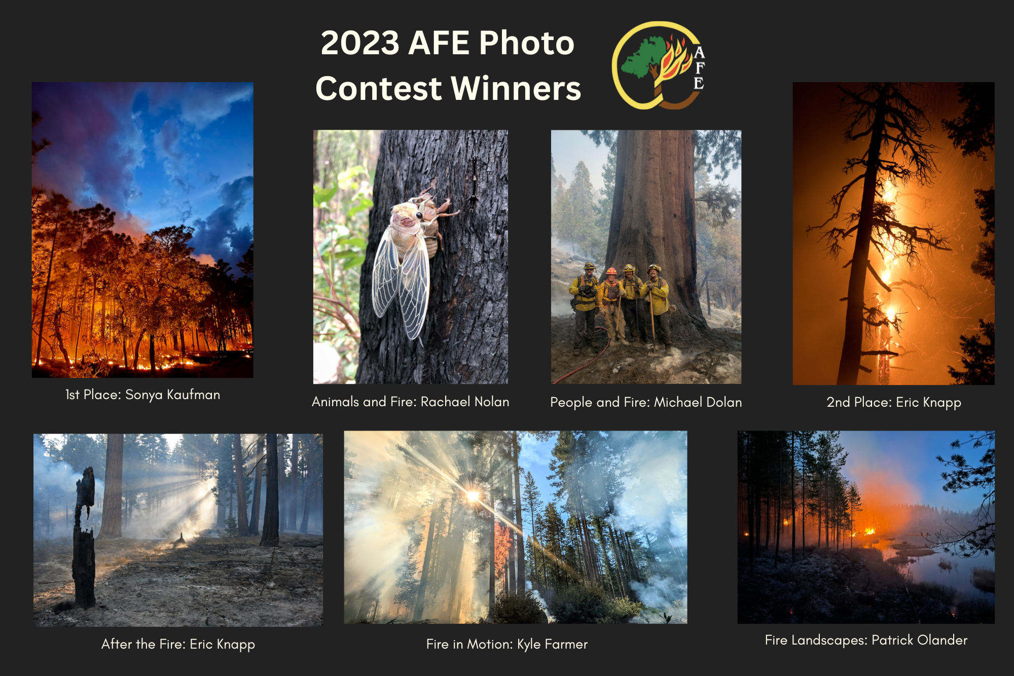AFE Photo Winners (1)